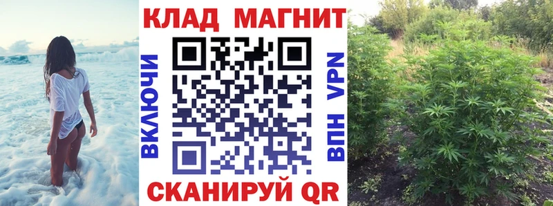 Названия наркотиков Ишим Бошки Шишки  APVP  ГАШИШ  КОКАИН 