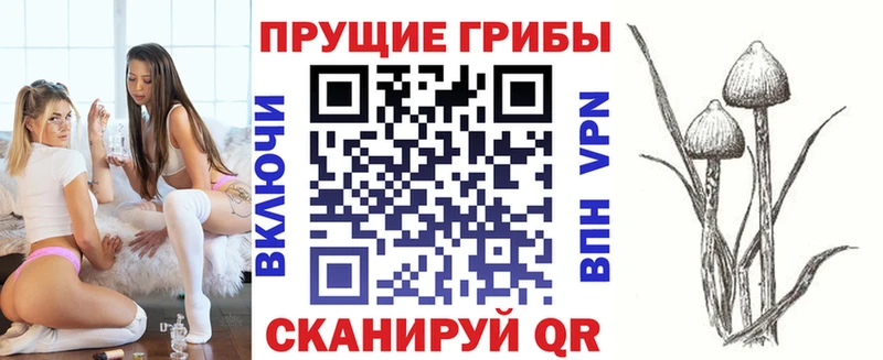 Псилоцибиновые грибы ЛСД  нарко площадка как зайти  Ишим 
